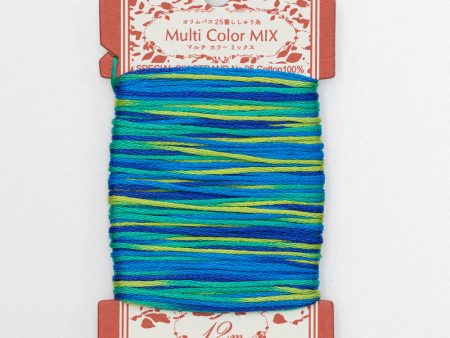 Olympus Multi-Colored Cotton Embroidery Floss - M12 Hot on Sale