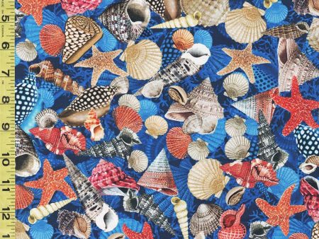 *Tropical - Jewels of the Sea - Colorful Seashell Mix - DCX11124-COBA-D For Sale