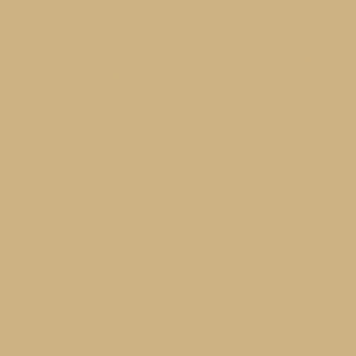 Solid Color Fabric - Benartex Superior Solid - 3000B-70 - LATTE Cheap