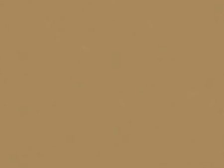 Solid Color Fabric - Benartex Superior Solid - 3000B-77 - MOSS (Soft Camel) Online