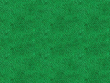 Blender - Dimples G12 - Clover on Sale