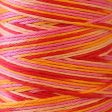 Sashiko Thread - Hidamari - LEN89-301 - Variegated - TEQUILA SUNRISE Cheap