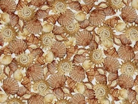 *Tropical - Sea Treasures - Seashells - 24476-E - Cream - ON SALE - 30% OFF - By the Yard Online Hot Sale