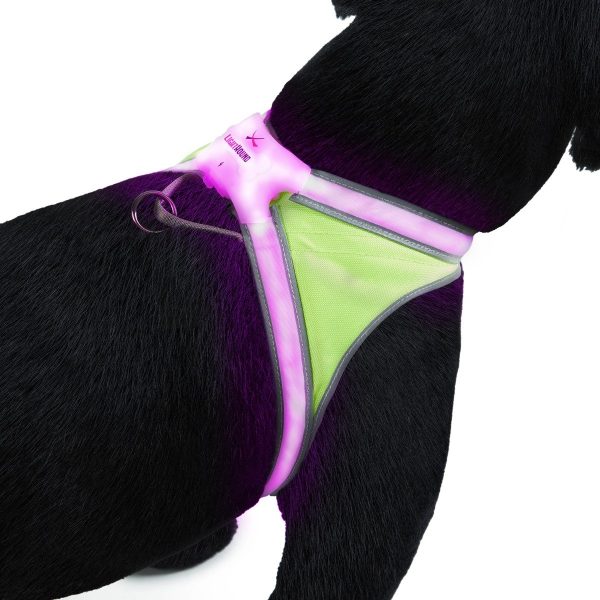 Unisex Noxgear Lighthound Illuminated Harness Online Sale